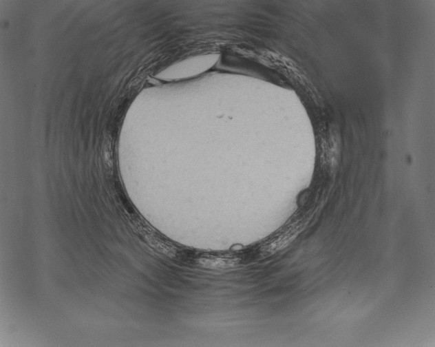 X0000067830561200605111620