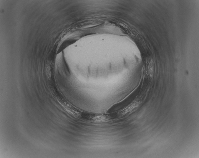 X0000067830562200605111620