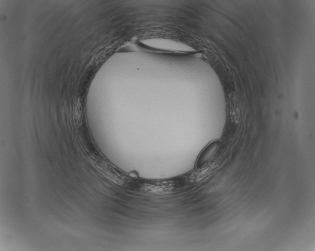 X0000067830563200605111620