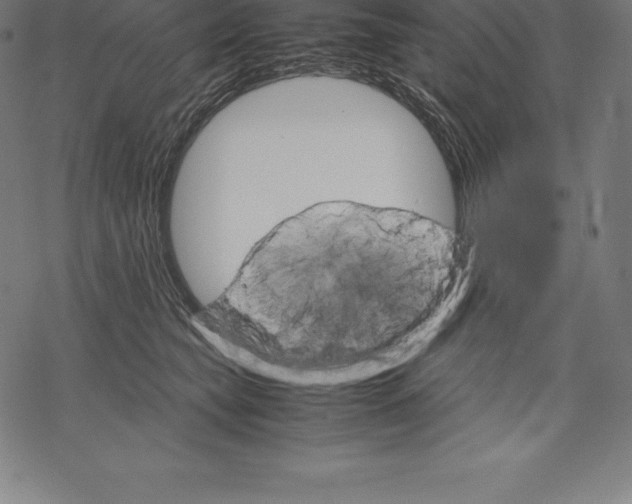 X0000067830565200605111620