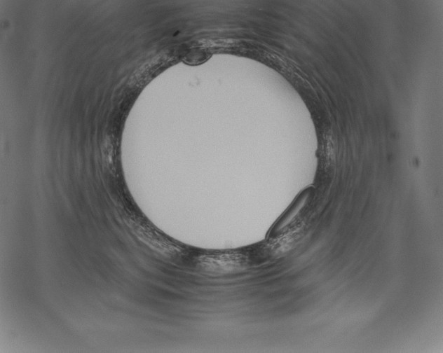 X0000067830567200605111620