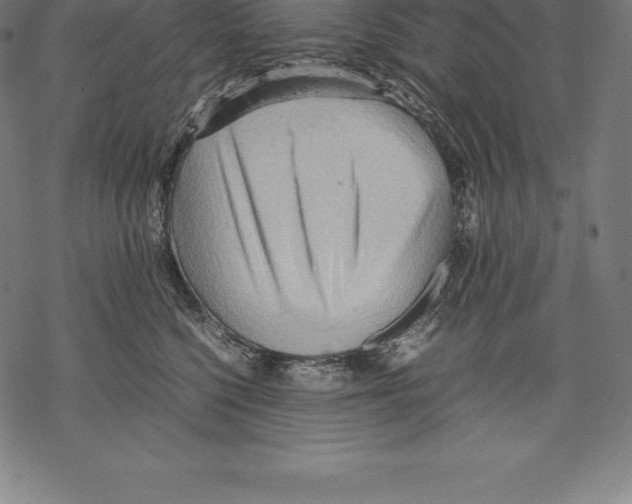 X0000067830568200605111620