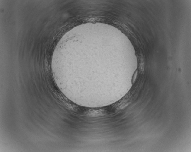 X0000067830569200605111620