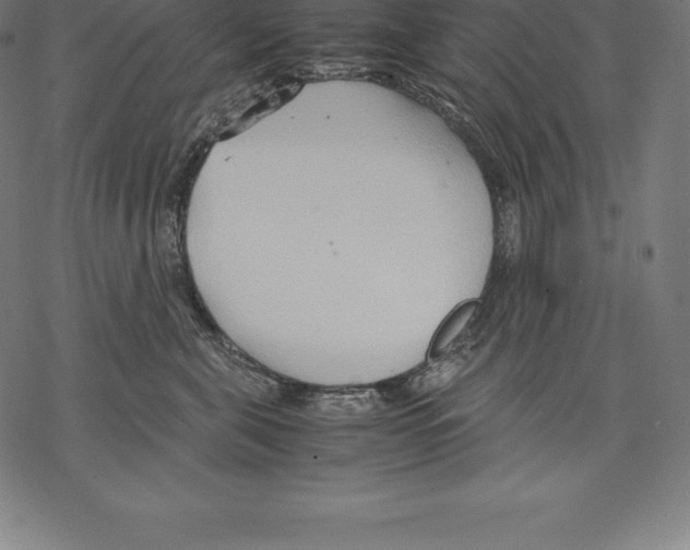 X0000067830571200605111620