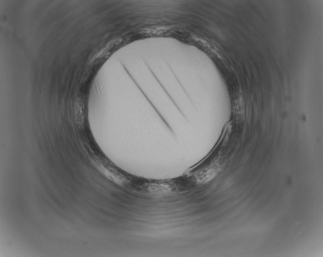 X0000067830572200605111620