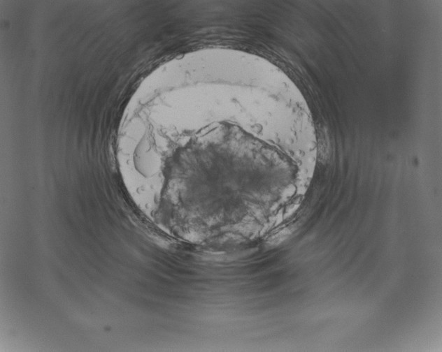 X0000067830573200605111620