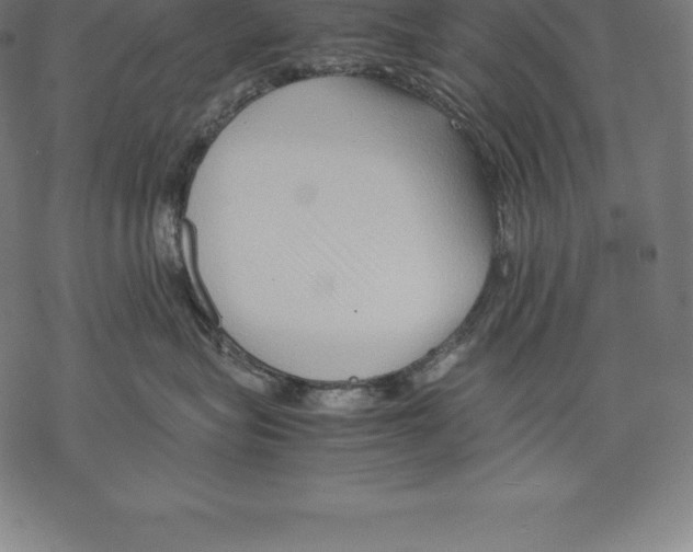 X0000067830575200605111620