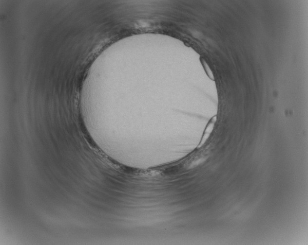 X0000067830576200605111620