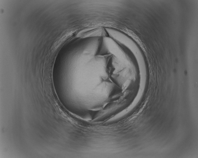 X0000067830577200605111619