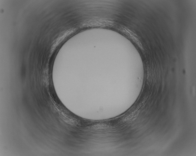 X0000067830578200605111619