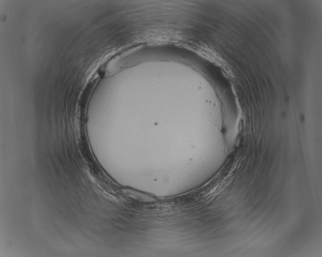 X0000067830580200605111619