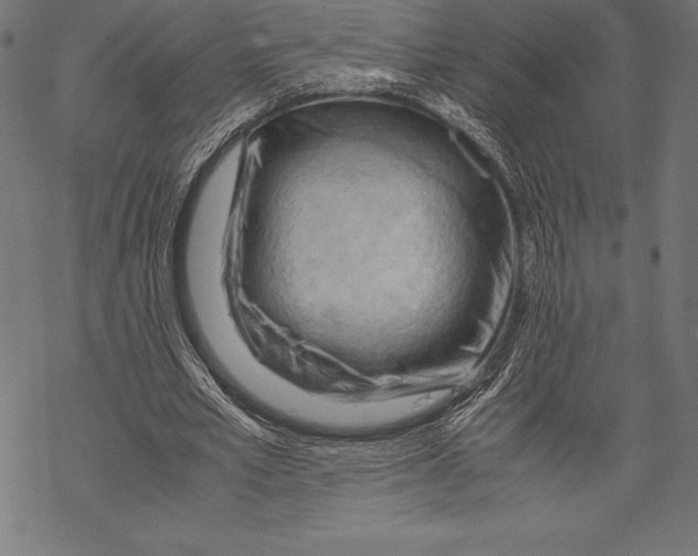 X0000067830581200605111619