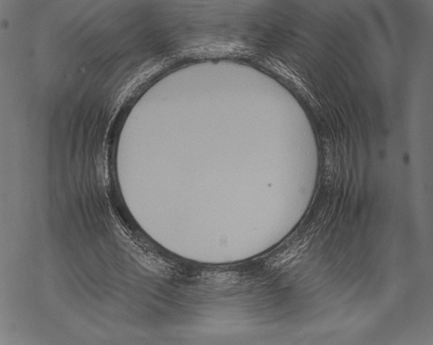 X0000067830582200605111619