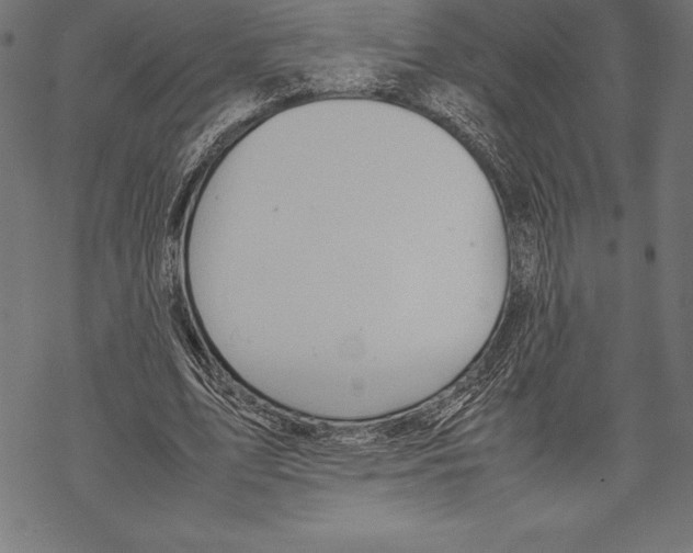 X0000067830583200605111619