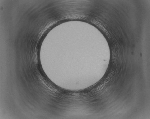 X0000067830584200605111619