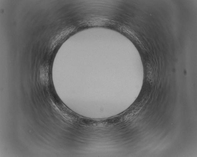 X0000067830586200605111619