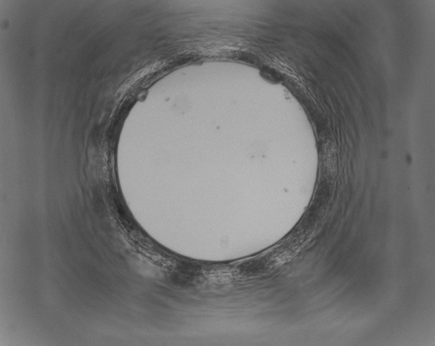 X0000067830587200605111619