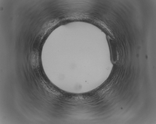 X0000067830588200605111619