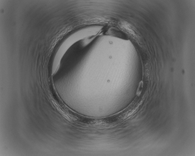 X0000067830589200605111619