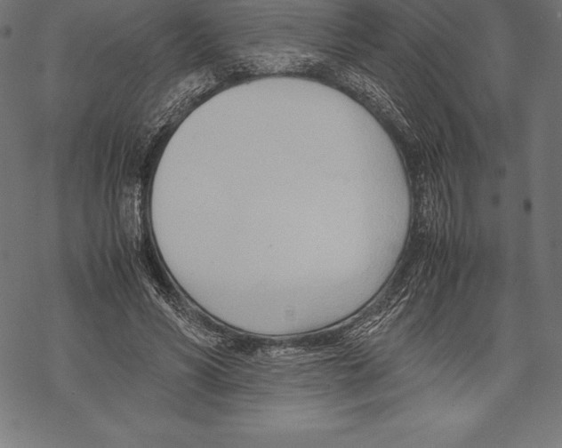 X0000067830590200605111619