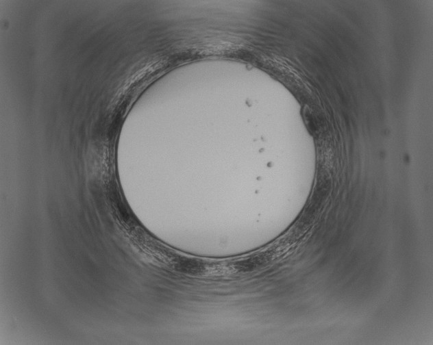 X0000067830591200605111619