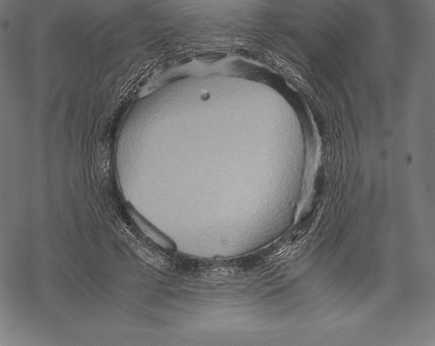 X0000067830593200605111619