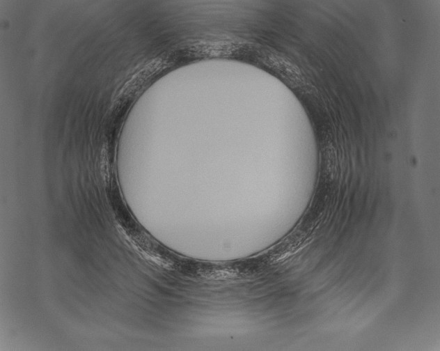 X0000067830594200605111619