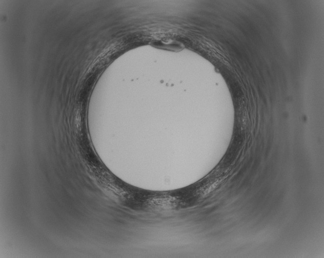 X0000067830595200605111619