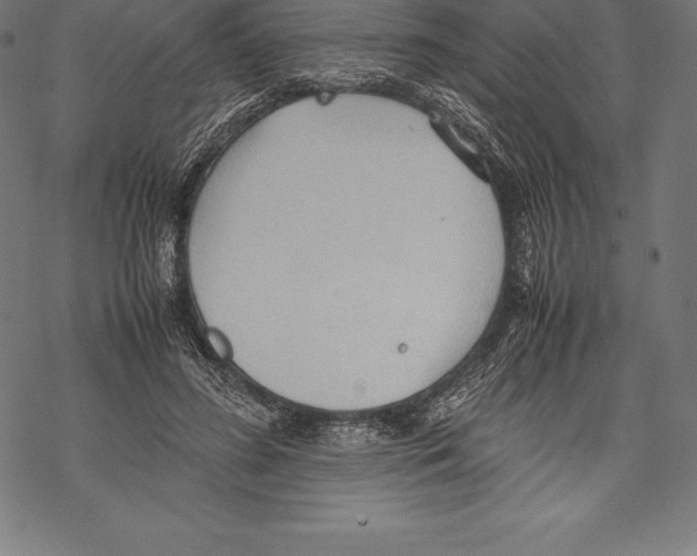 X0000067830596200605111619