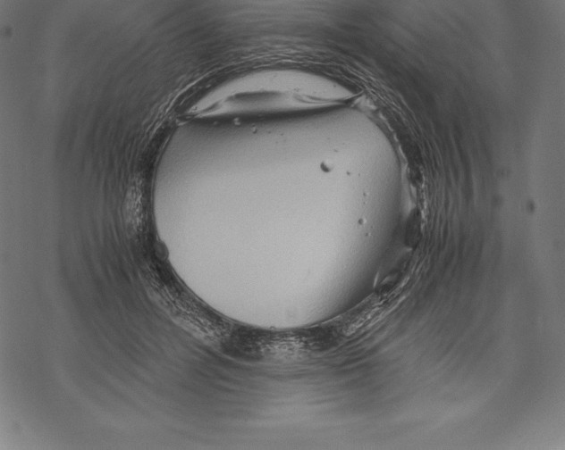 X0000067830600200605111619