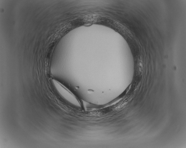 X0000067830601200605111619