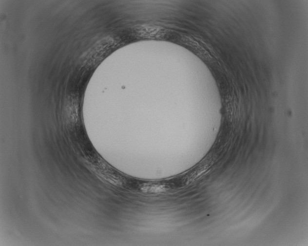 X0000067830602200605111619