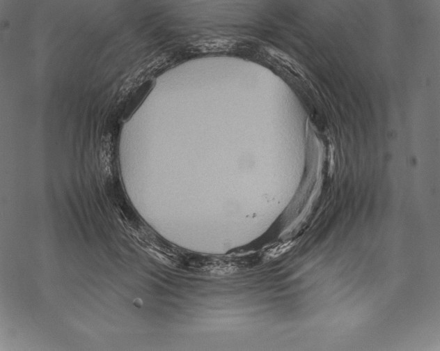 X0000067830604200605111619