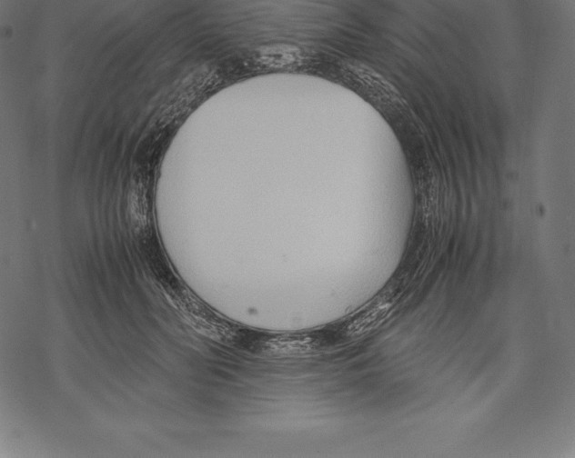 X0000067830606200605111619