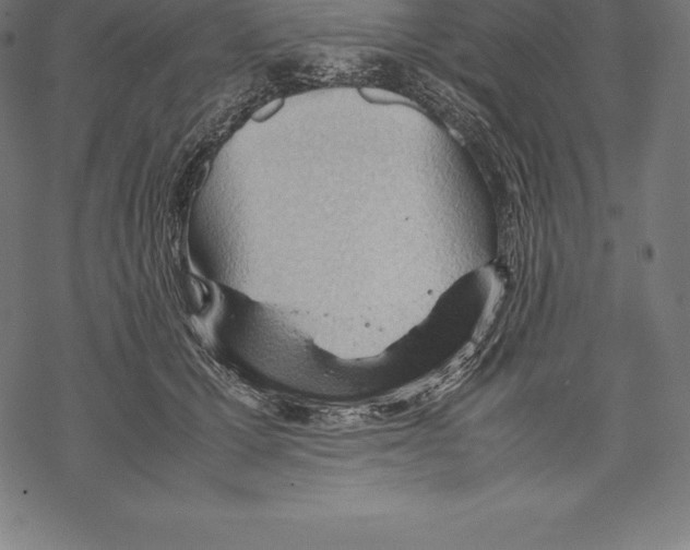 X0000067830607200605111619