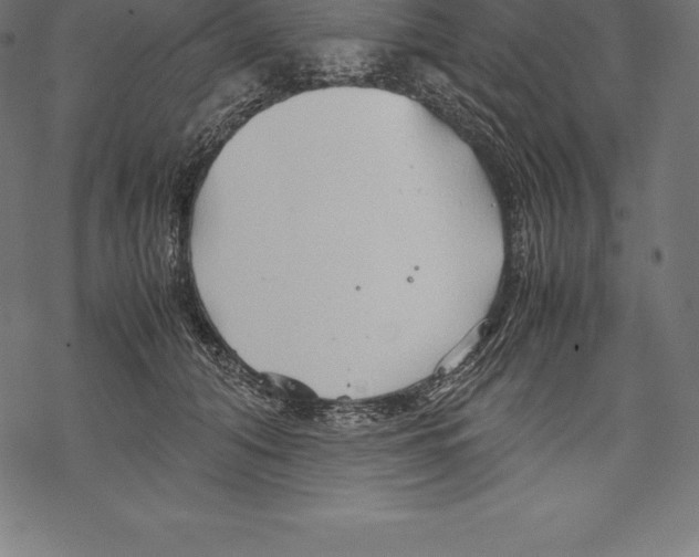 X0000067830608200605111619