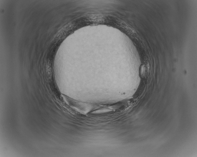 X0000067830609200605111619