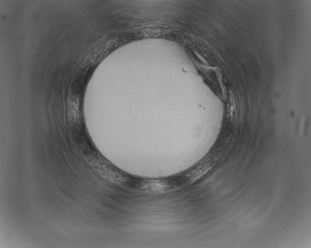 X0000067830610200605111619