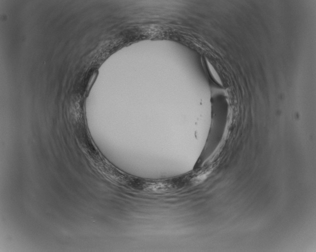 X0000067830611200605111619