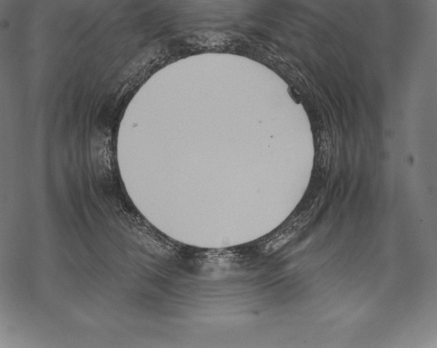 X0000067830612200605111619