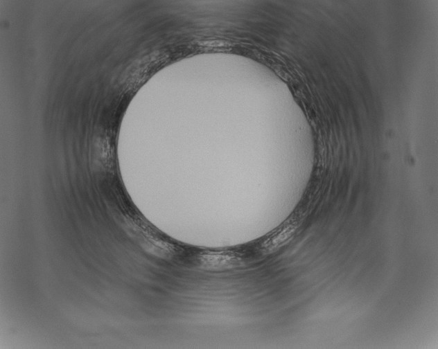 X0000067830614200605111618