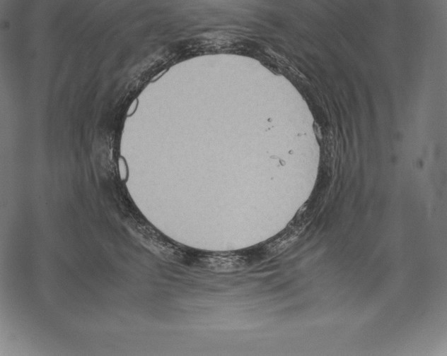 X0000067830615200605111618