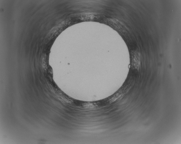 X0000067830616200605111618