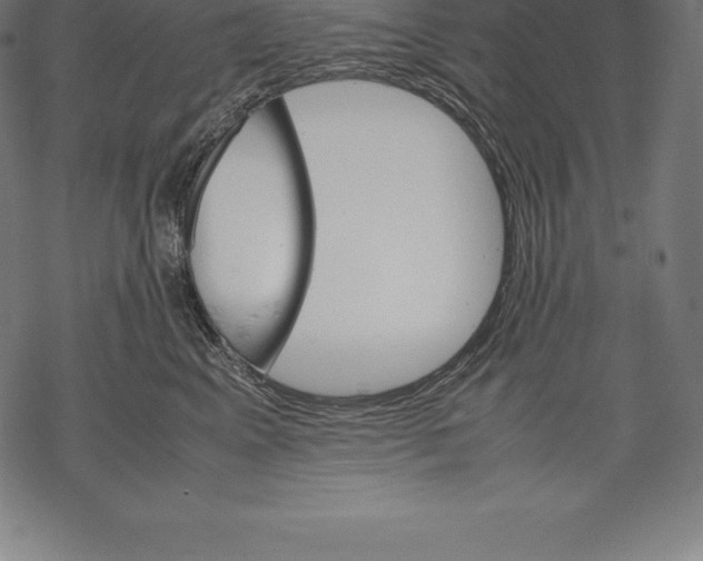 X0000067830617200605111618