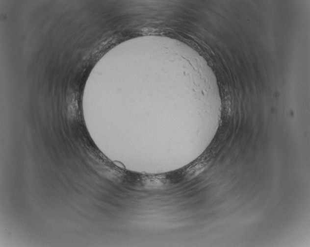 X0000067830618200605111618