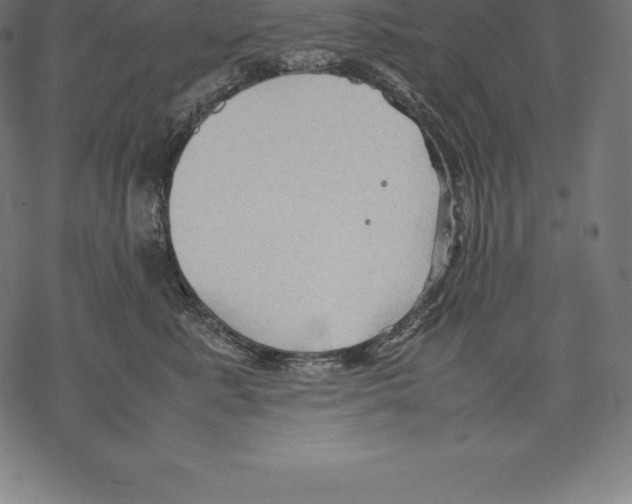 X0000067830619200605111618