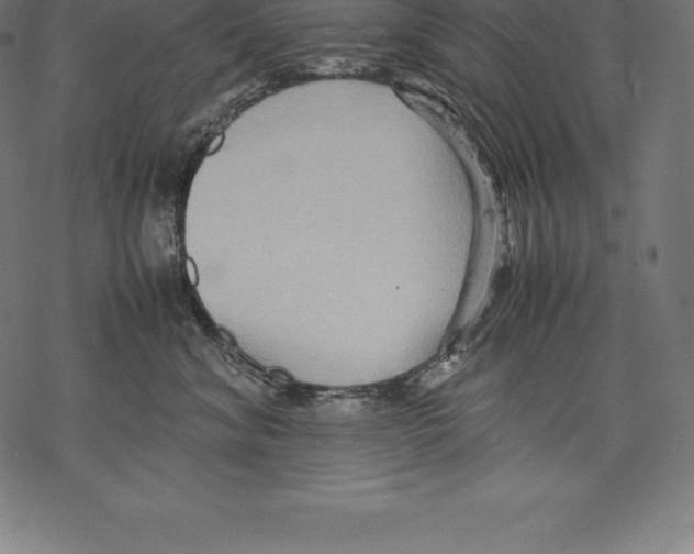 X0000067830620200605111618