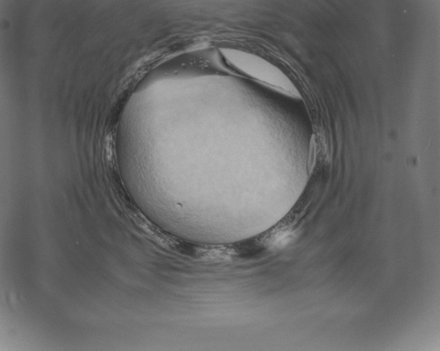 X0000067830621200605111618