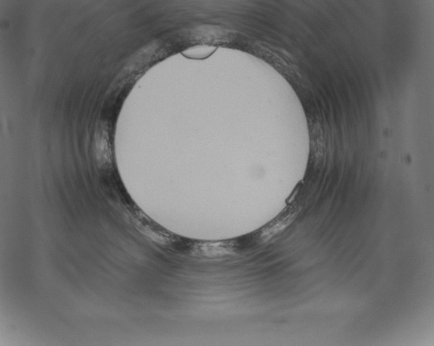 X0000067830622200605111618