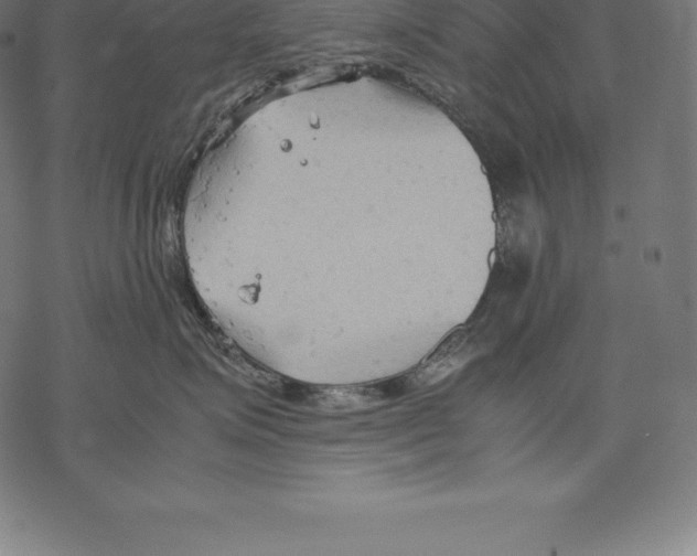 X0000067830623200605111618